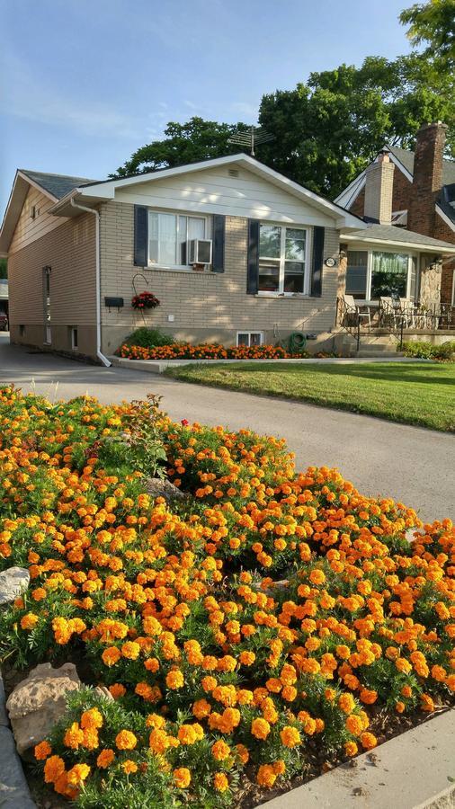 Trillium Bed & Breakfast Niagara Falls Eksteriør bilde